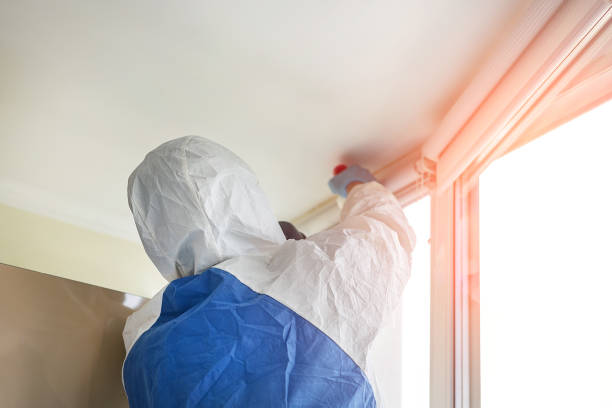 Why You Should Choose Our Mold Remediation Services in Hannahs Mill, GA