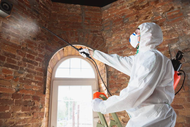 Best Mold Prevention Services  in Hannahs Mill, GA