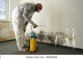 Best Mold Damage Restoration  in Hannahs Mill, GA